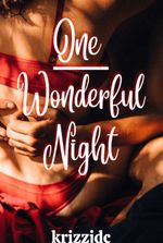 ONE WONDERFUL NIGHT